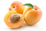 rohstoffe-aprikose